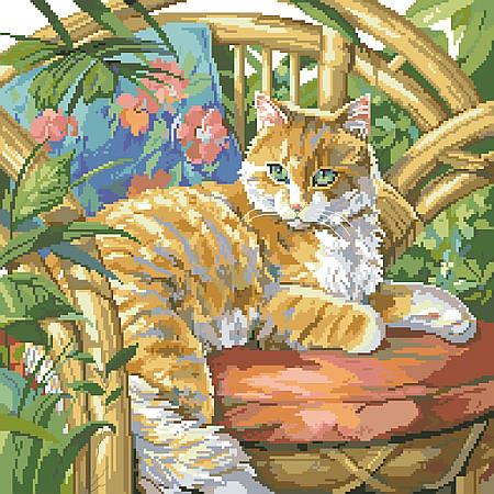 (image for) Cat in the Sun